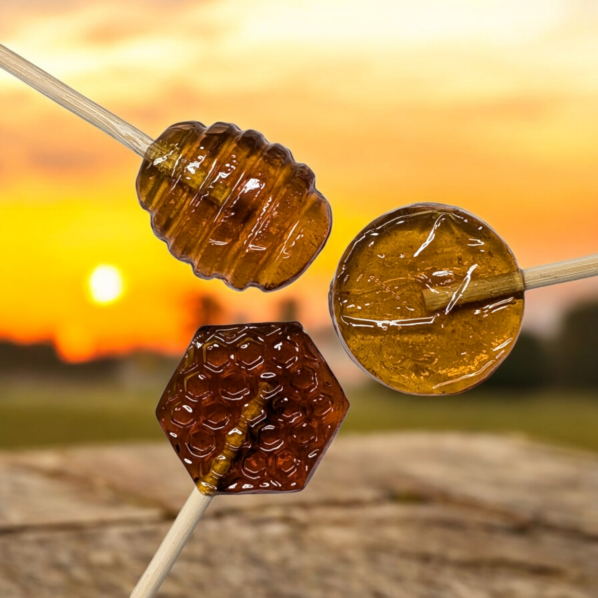 Honey Lollipops - Made with Real California Honey | The Bee Folks